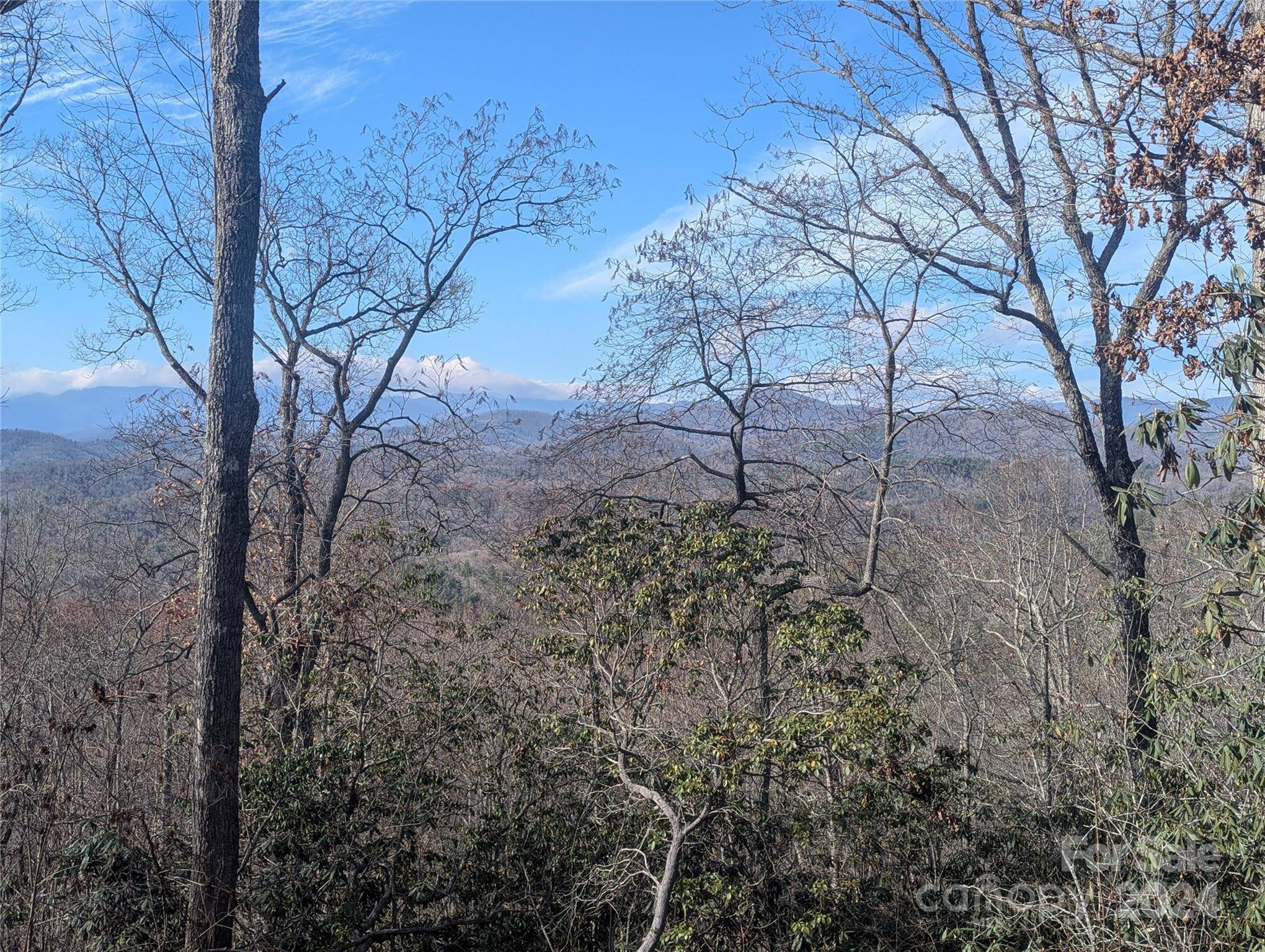 Pisgah Forest, NC 28768,TBD Top Oaks LN