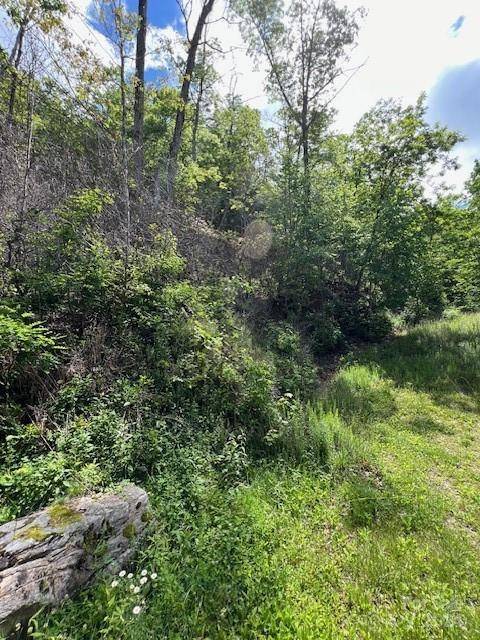 Bryson City, NC 28713,Lot 8 Falls View DR