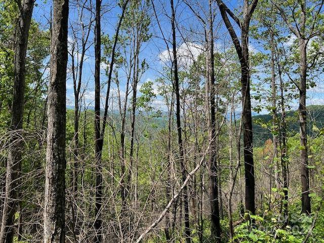 Bryson City, NC 28713,Lot 8 Falls View DR