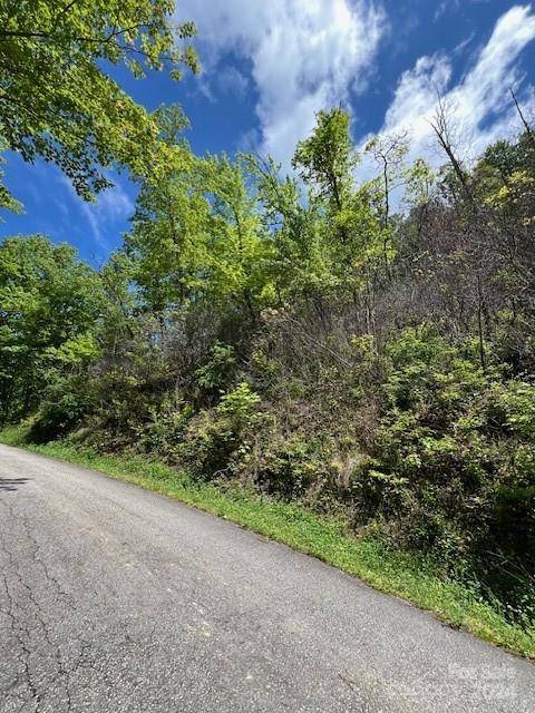 Bryson City, NC 28713,Lot 8 Falls View DR