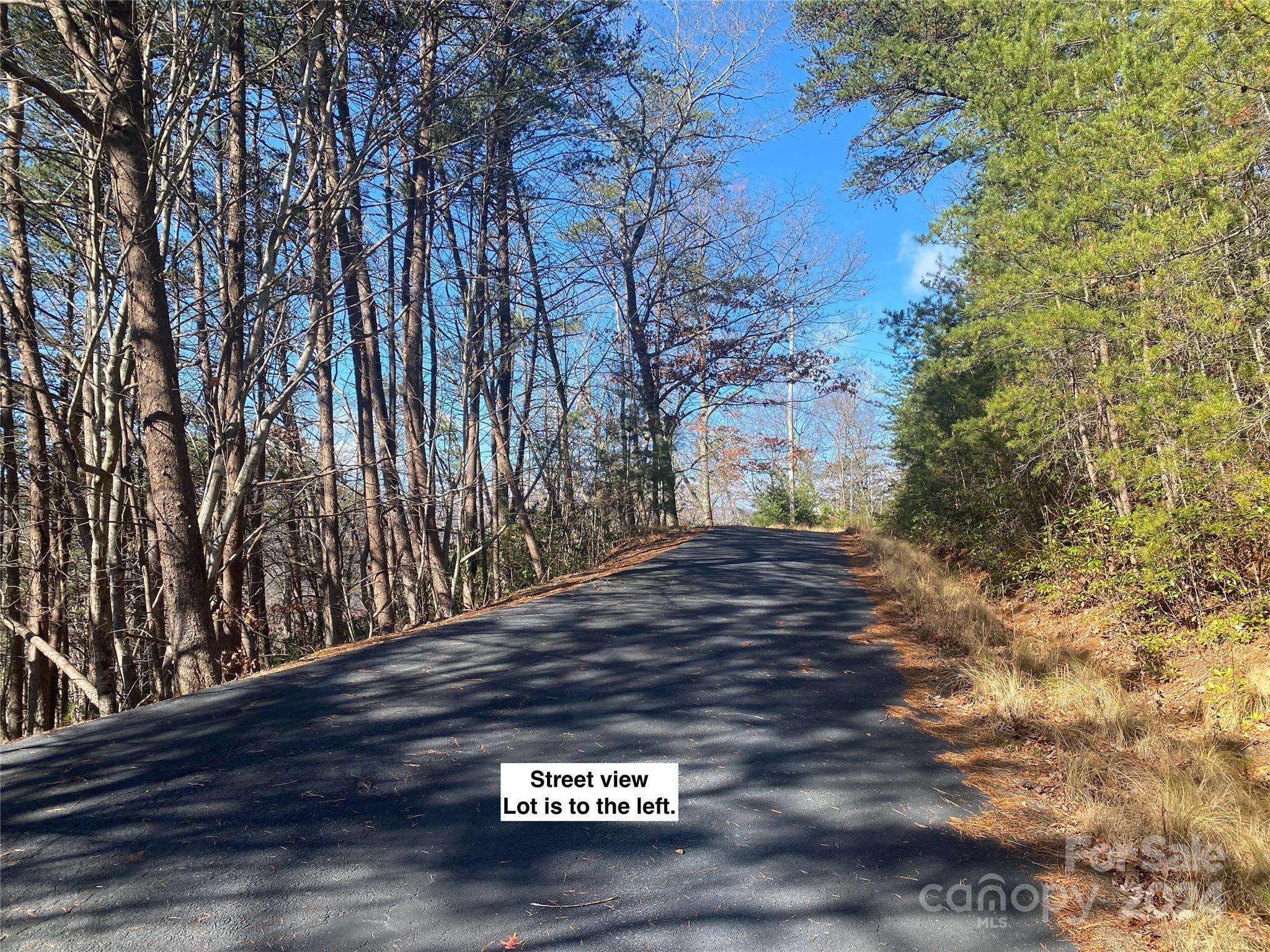 Canton, NC 28716,81 Lucerne DR