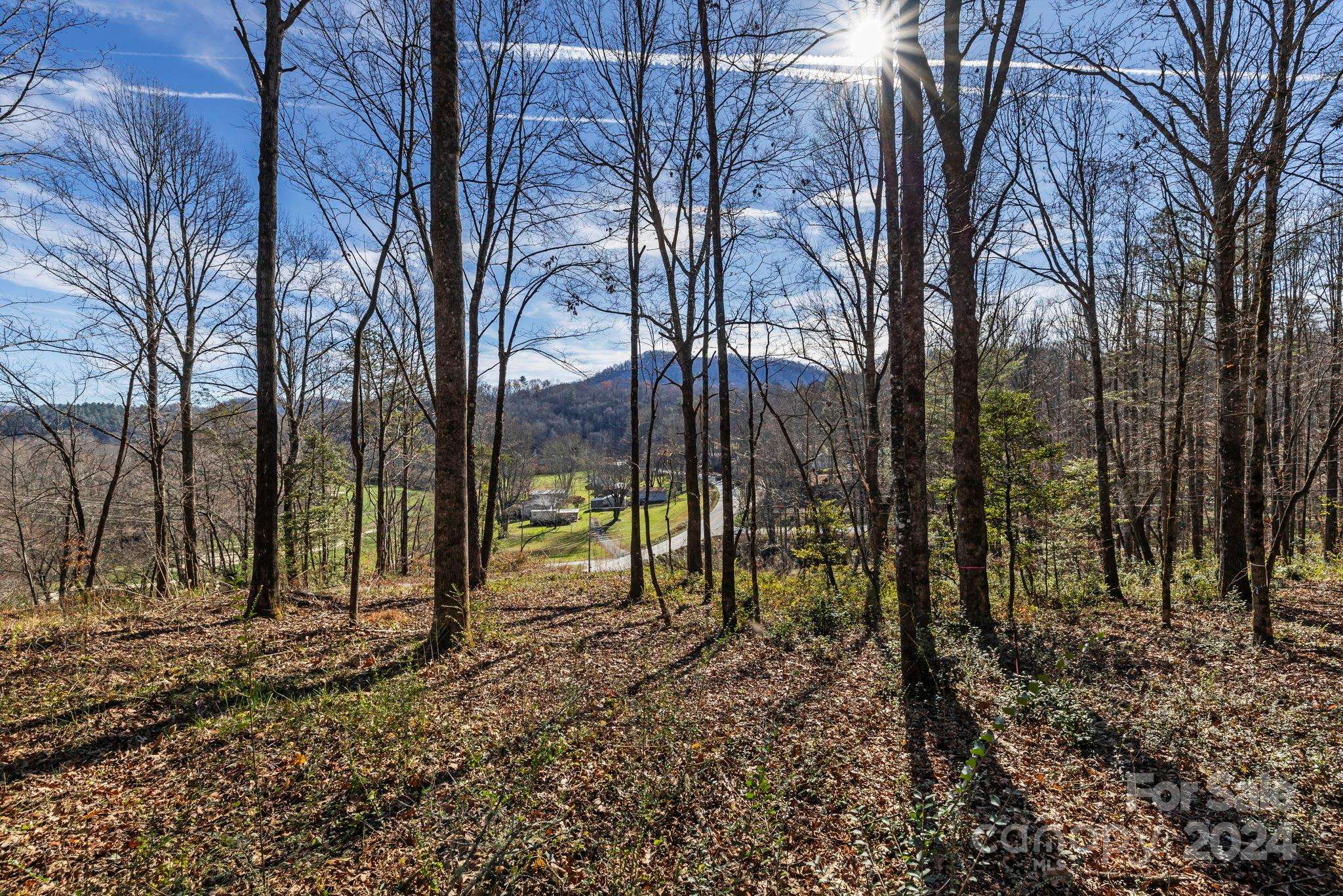 Rosman, NC 28772,L2 Pickens HWY #2