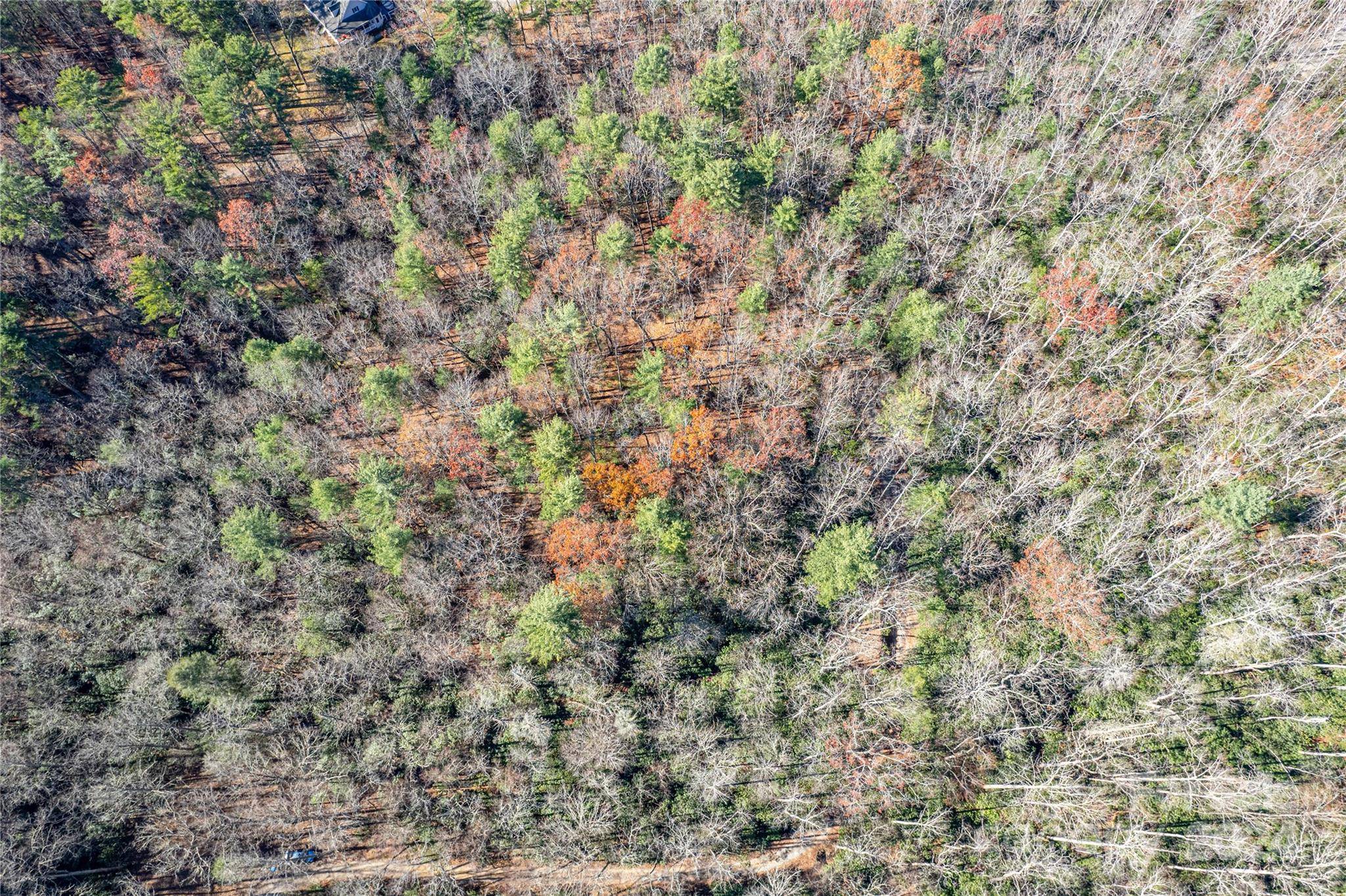 Pisgah Forest, NC 28768,TBD Cherrywood LN #B