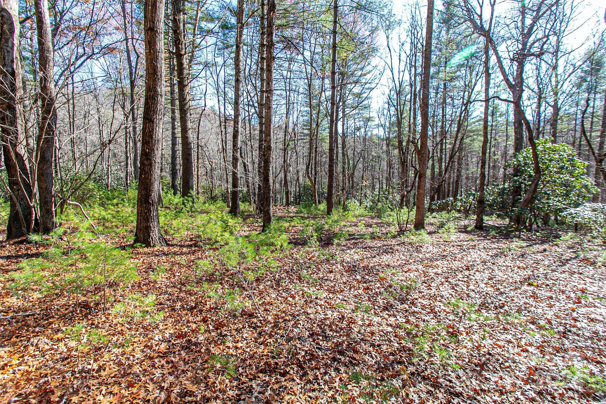 Pisgah Forest, NC 28768,TBD Cherrywood LN #B