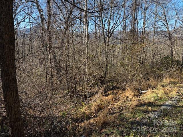 Waynesville, NC 28785,00 Satinwood DR #19