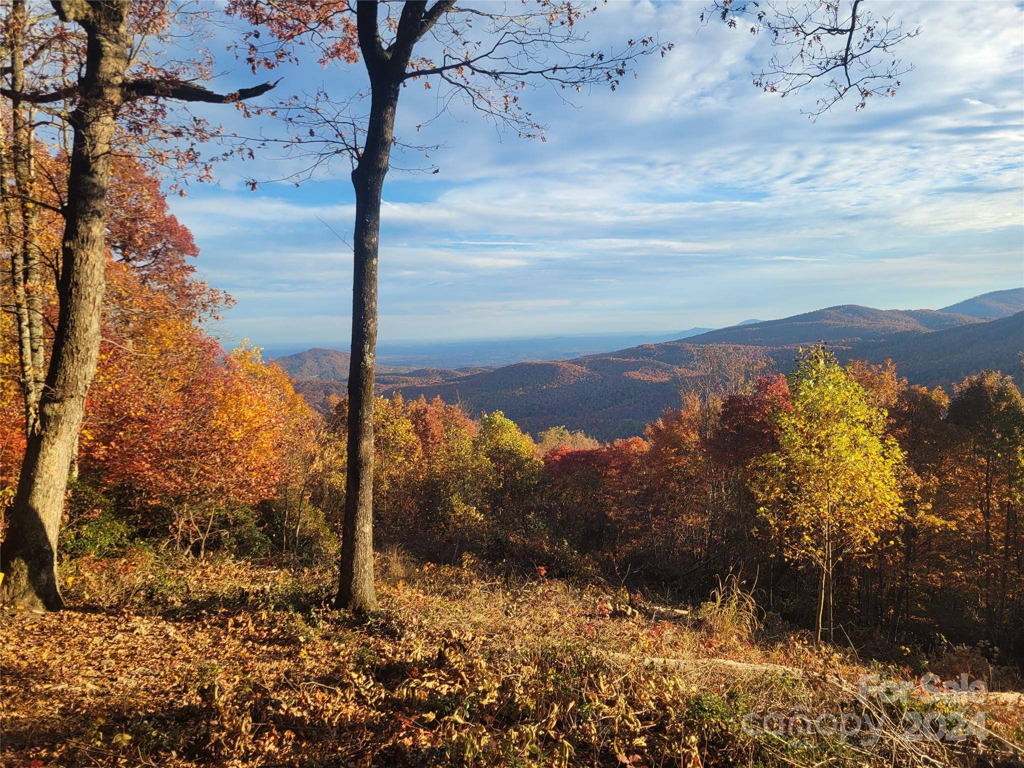 Black Mountain, NC 28711,99999 High Cliffs TRL #Lot 5