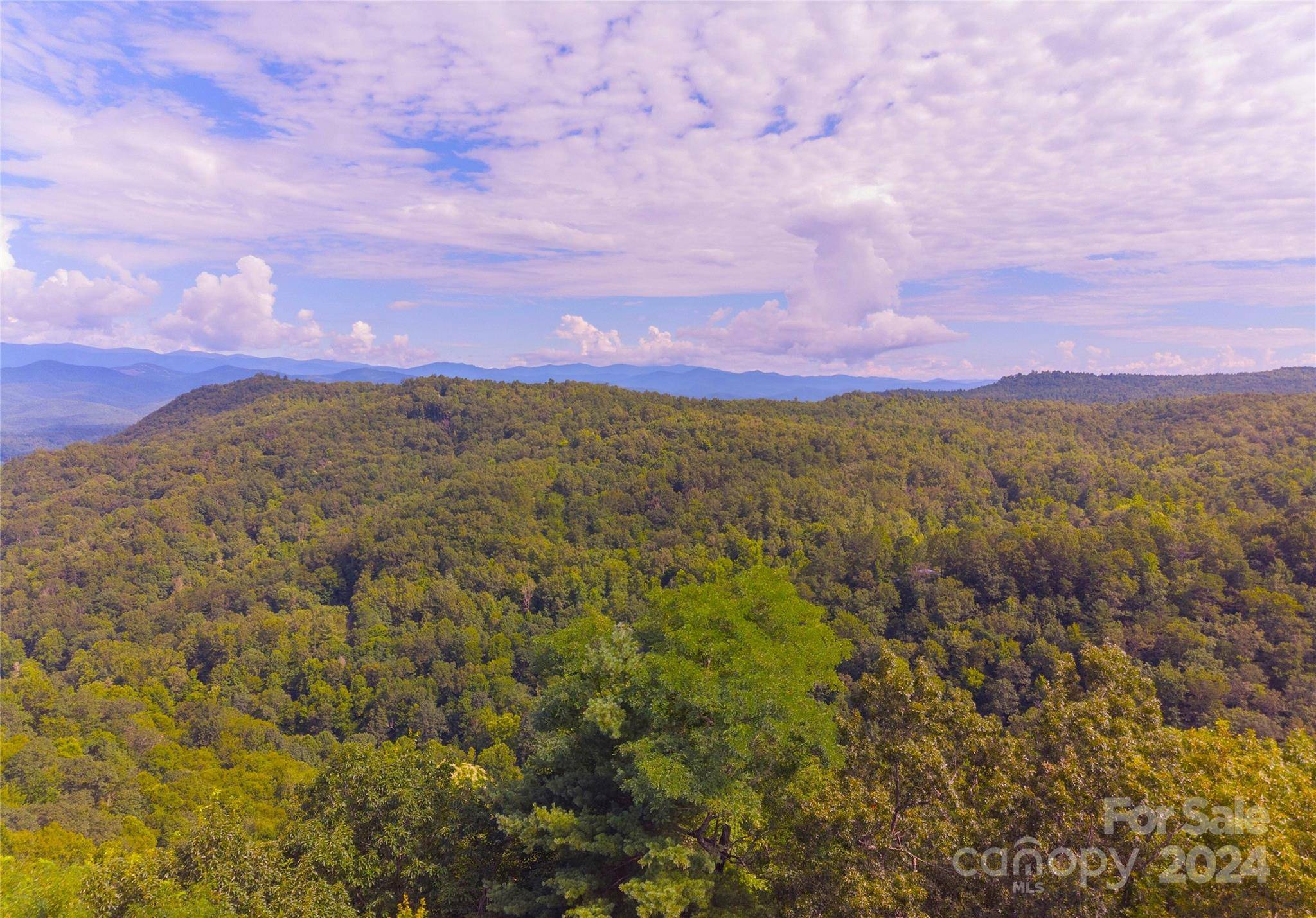 Brevard, NC 28712,304 Wodigeasgohi DR #L13/U27