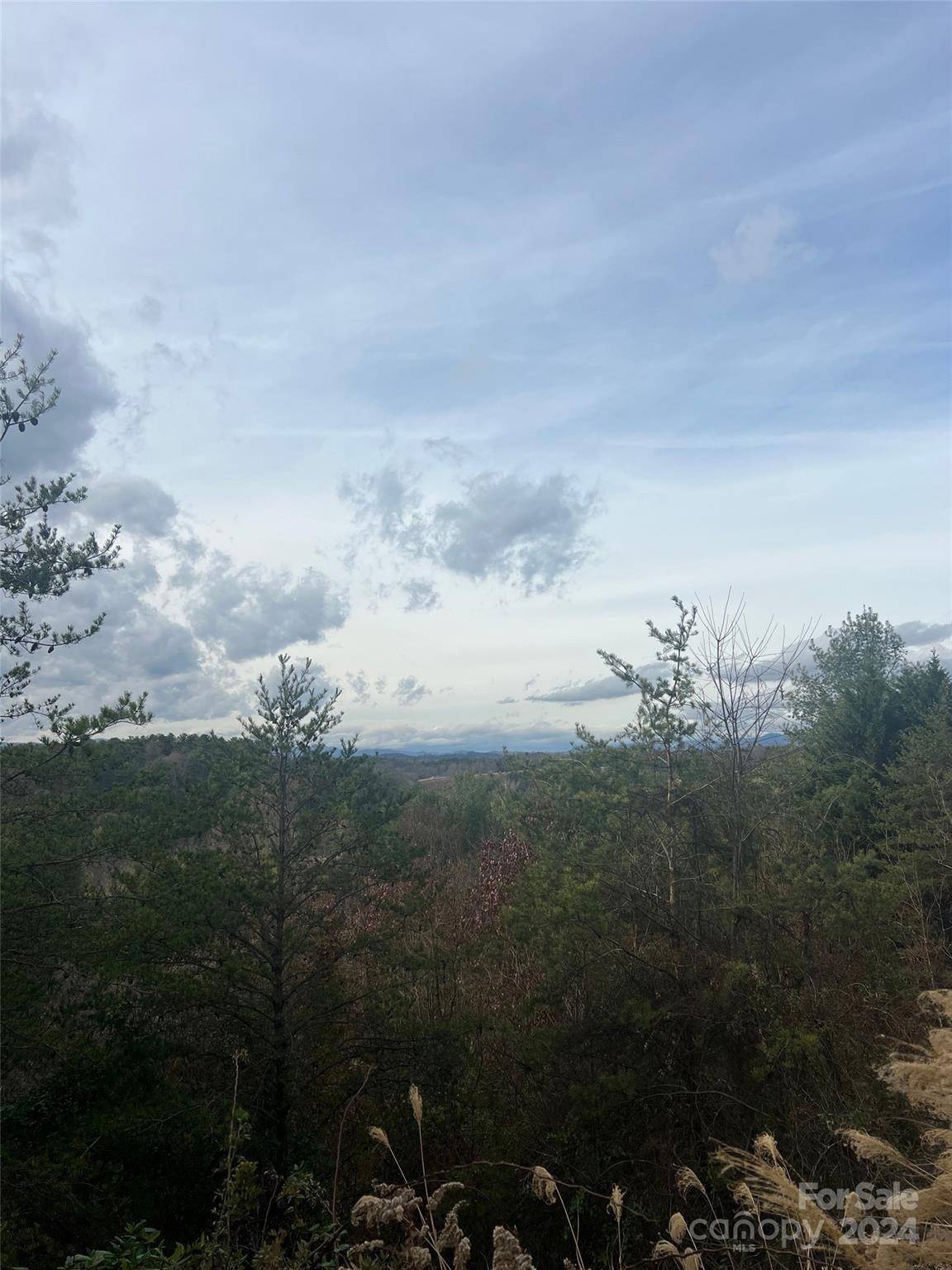 Weaverville, NC 28787,120 Starview Knoll