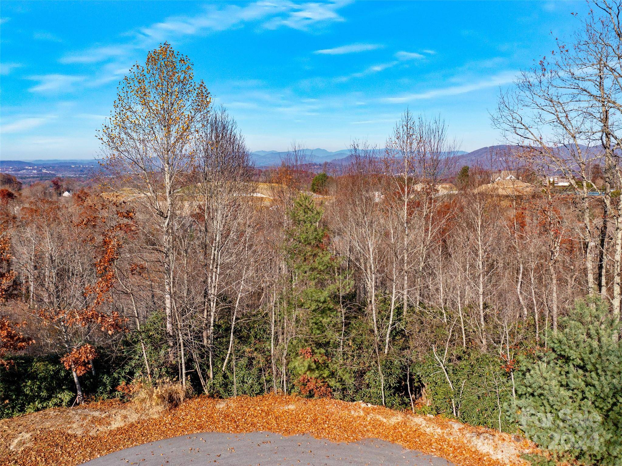 Hendersonville, NC 28791,99999 Bay Laurel LN #1905