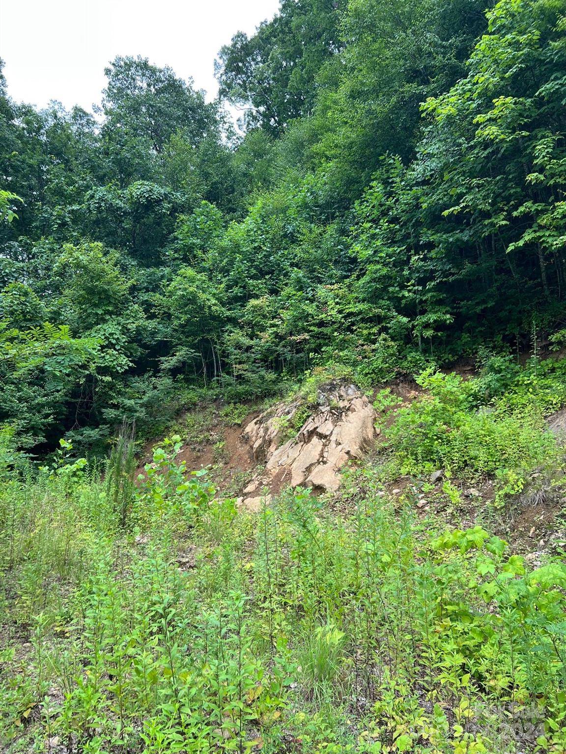Waynesville, NC 28785,000 Shadyside DR