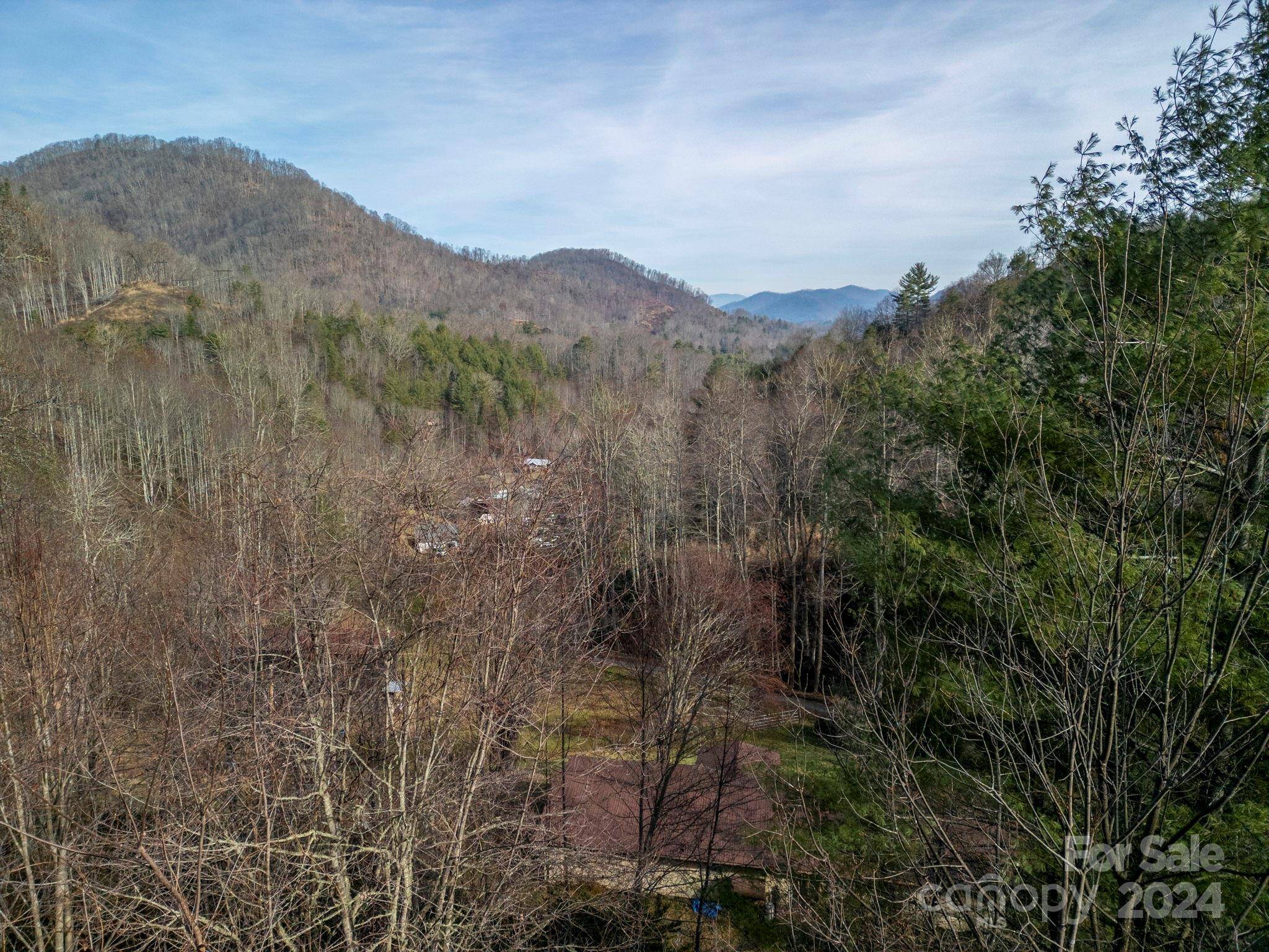 Burnsville, NC 28714,9999 Cove Mountain RD