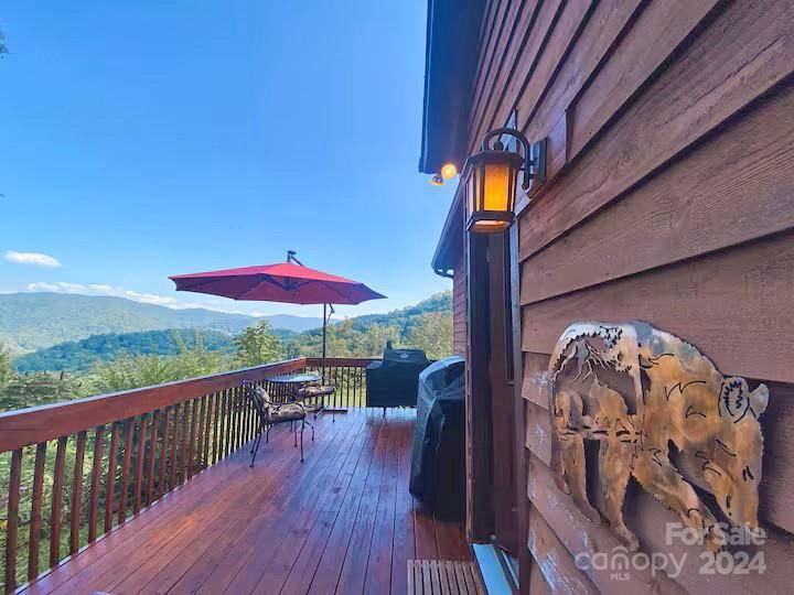 Hot Springs, NC 28743,1351 Caldwell Mountain RD