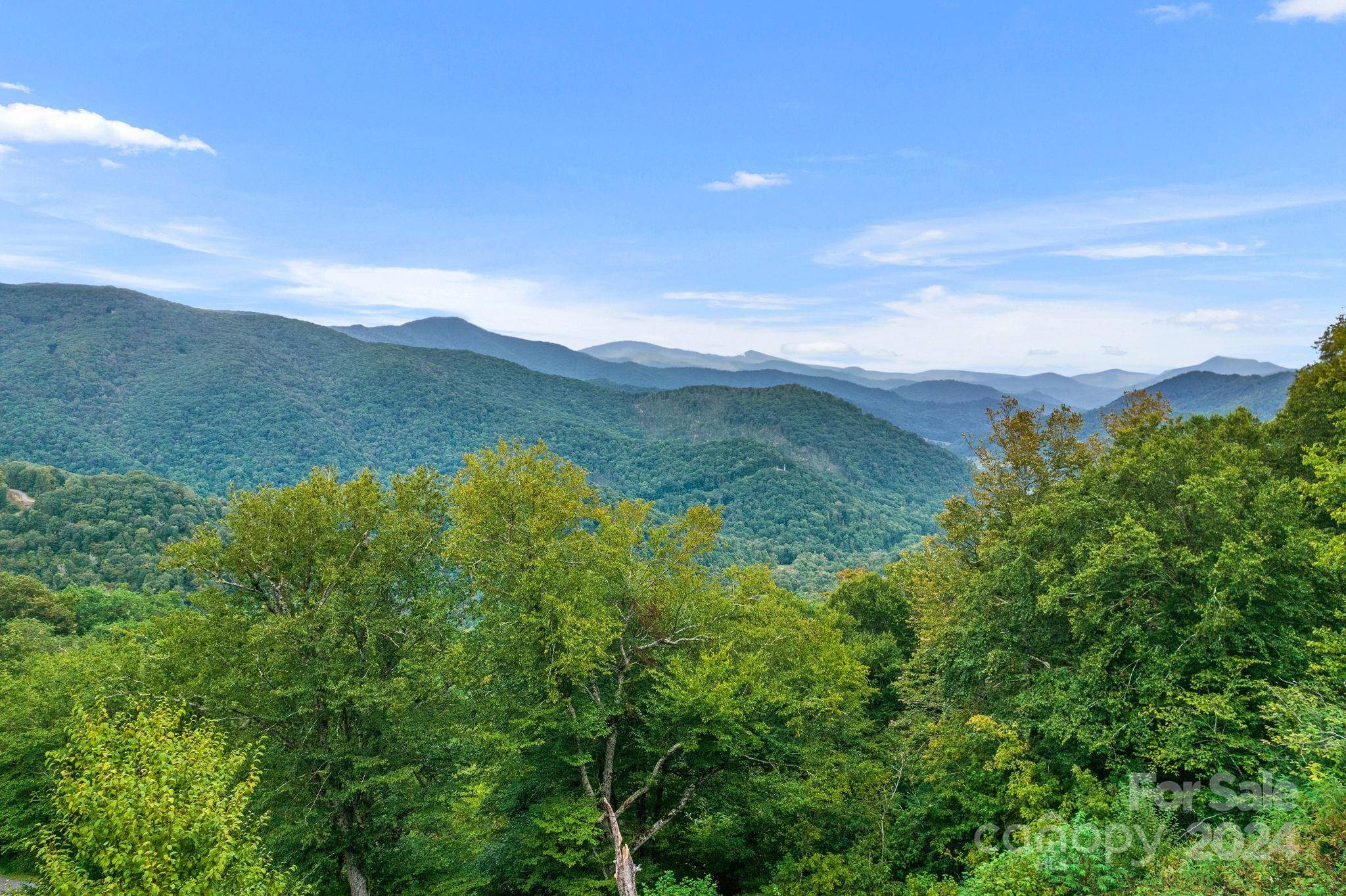 Mars Hill, NC 28754,48 Overlook DR #48