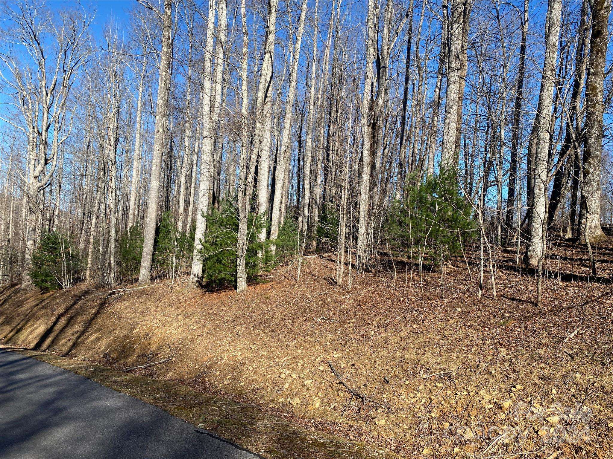 Burnsville, NC 28714,LOT 3 Dragonfly CT