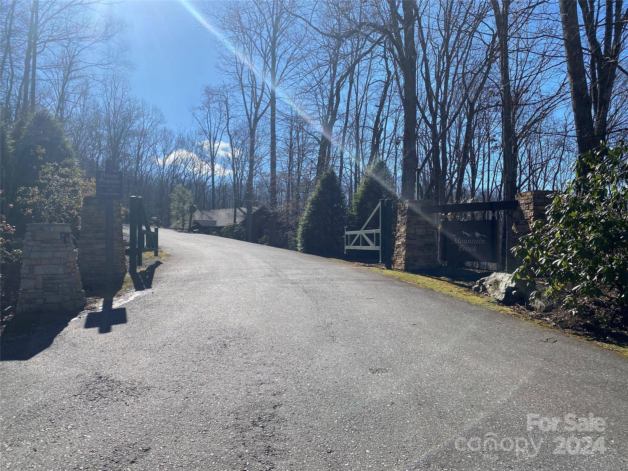 Burnsville, NC 28714,LOT 3 Dragonfly CT