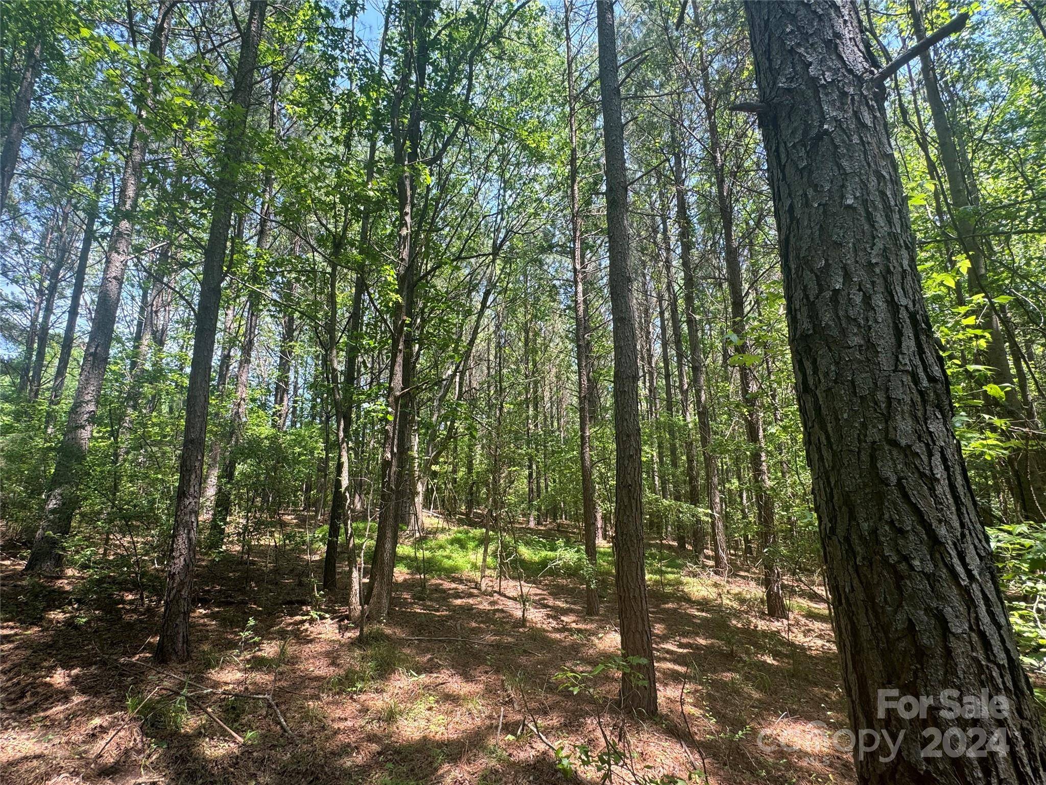 York, SC 29745,1011 Ratchford RD #Lot 3