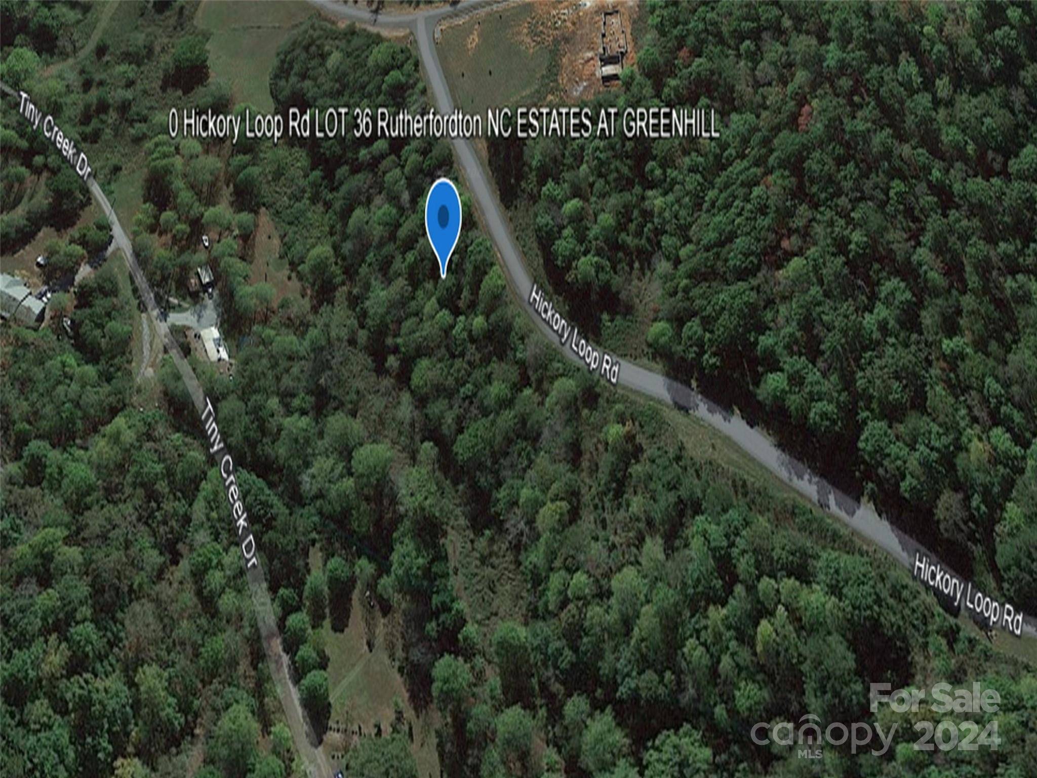 Rutherfordton, NC 28139,0 Hickory LOOP #Lot 36