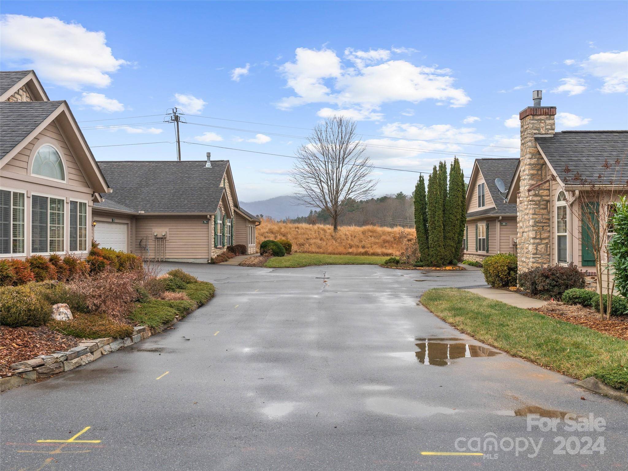 Weaverville, NC 28787,76 Mountain Meadow CIR