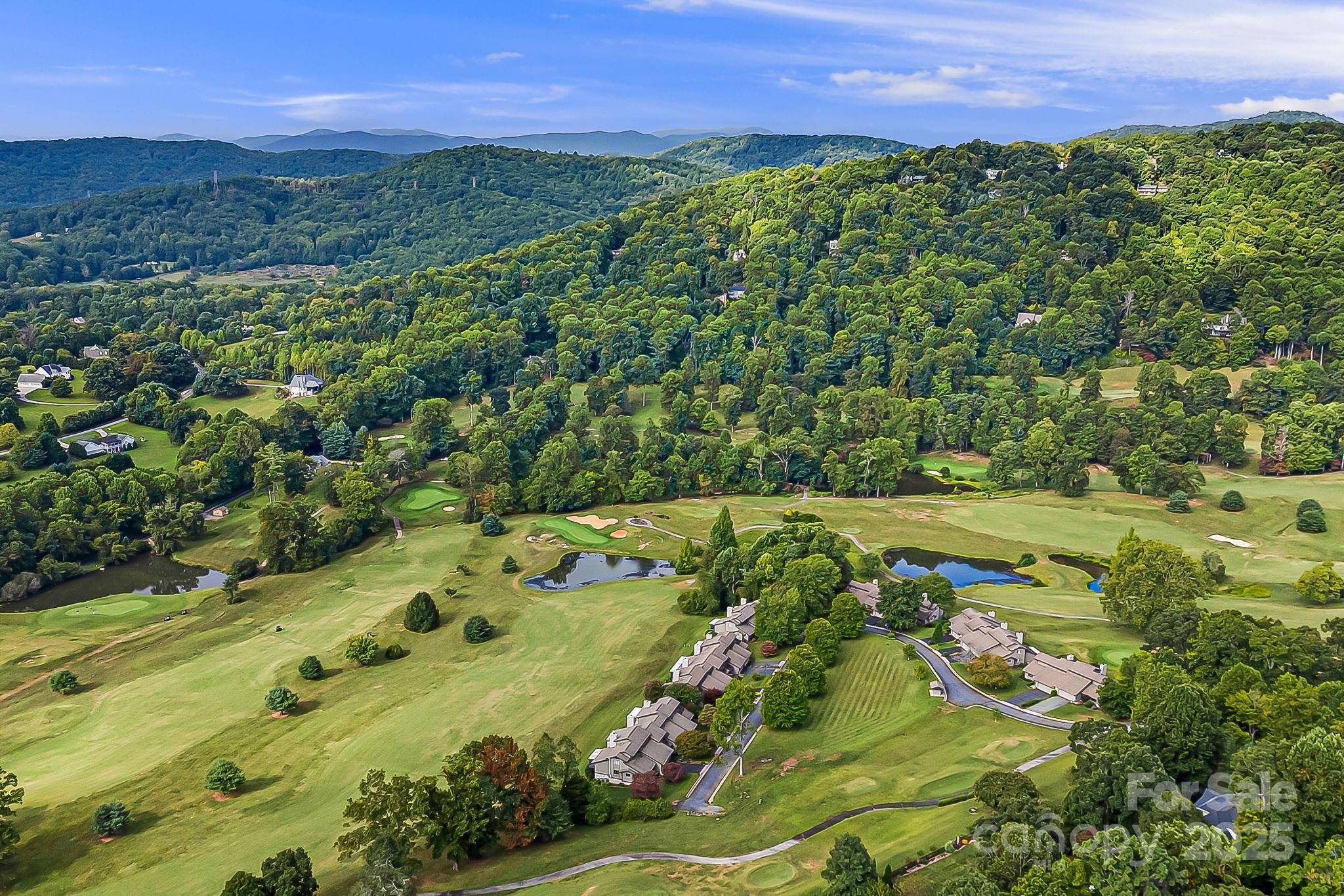 Mills River, NC 28759,1010 High Vista DR