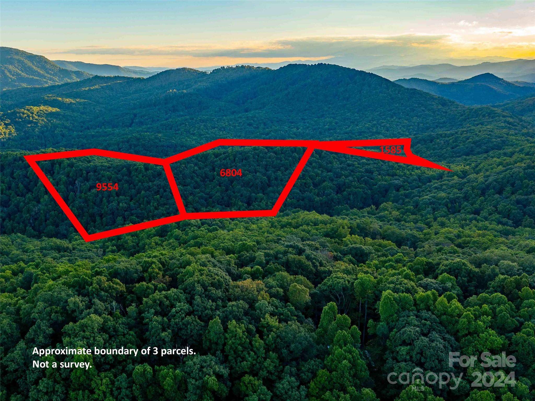 Fairview, NC 28730,99999 Dotson RD