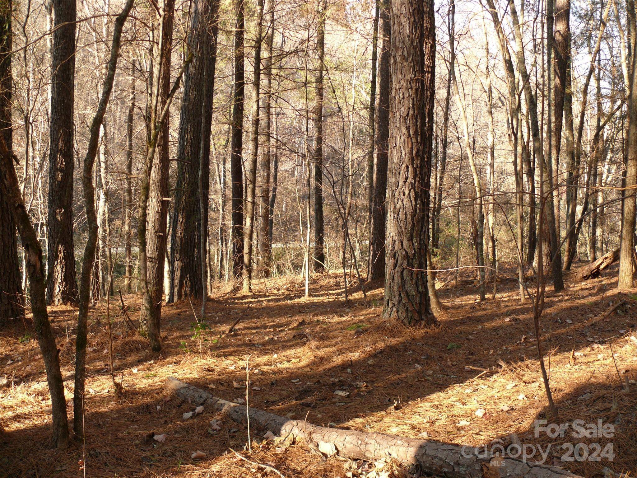 Lake Lure, NC 28746,Lot 1 Island Creek RD