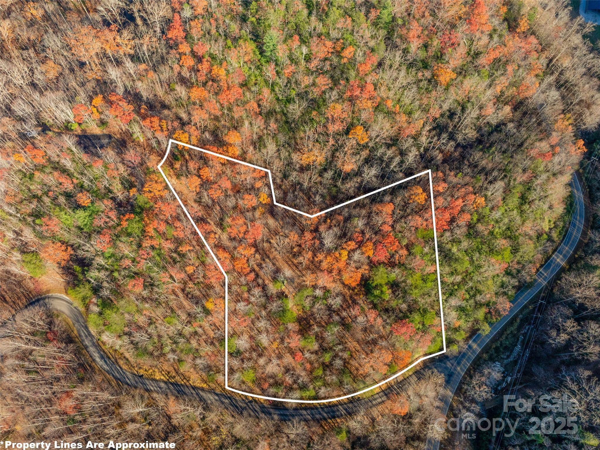 Black Mountain, NC 28711,263 Nuthatch LN