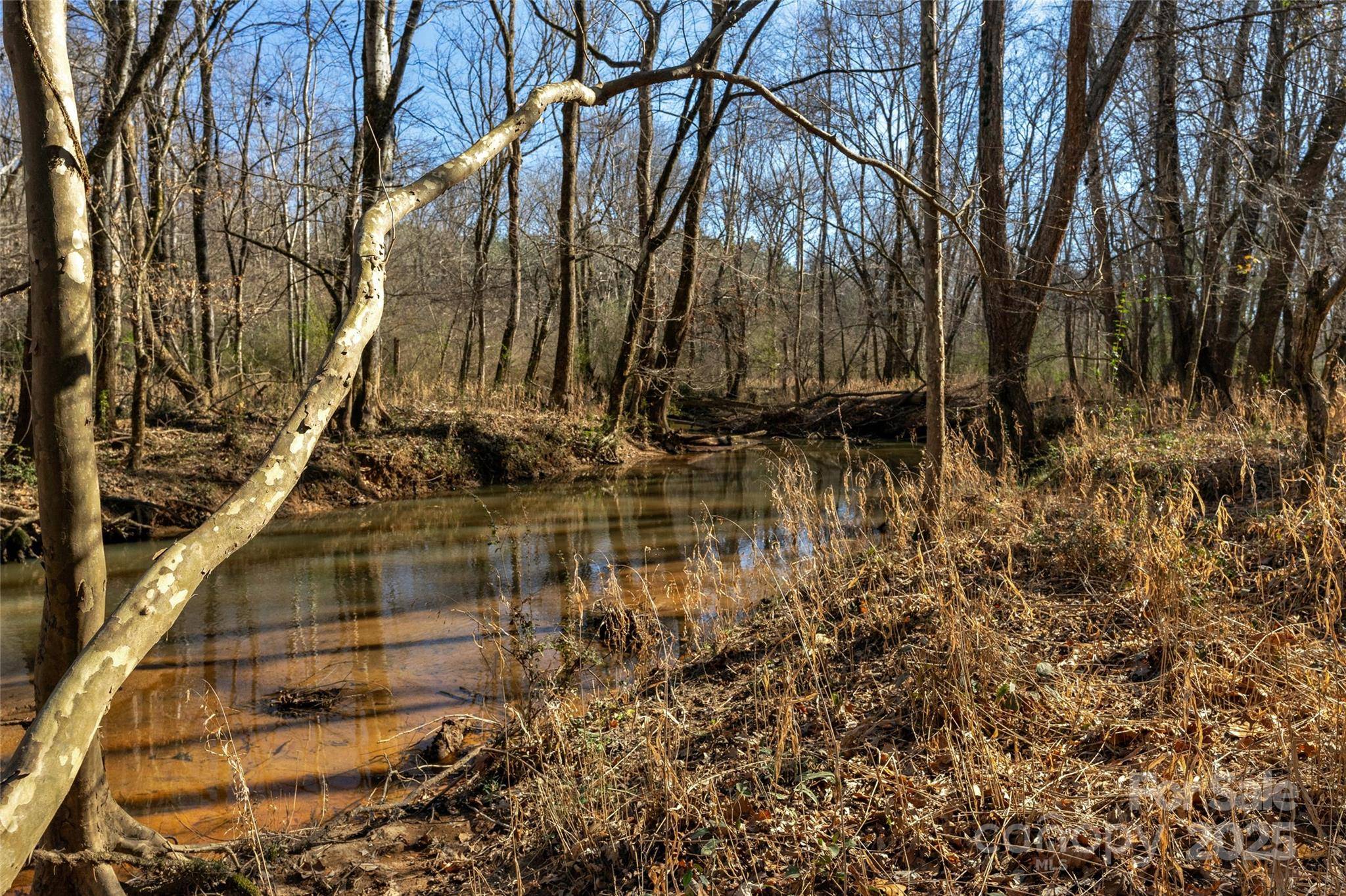 Blackstock, SC 29014,0000 Old Douglass RD #7