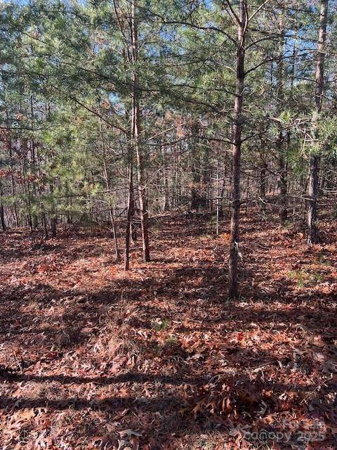 Mill Spring, NC 28756,Lot #28 Lake Adger Pkwy #28