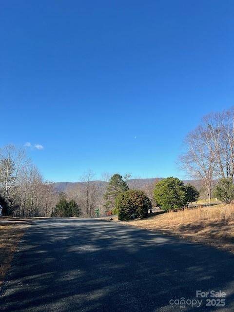 Mill Spring, NC 28756,Lot #28 Lake Adger Pkwy #28