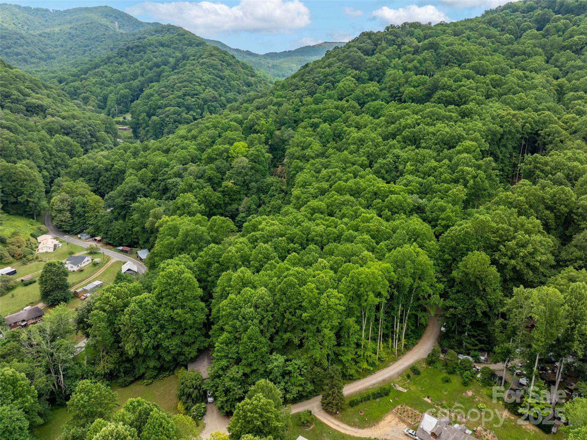 Waynesville, NC 28785,4 Roaring Creek LN