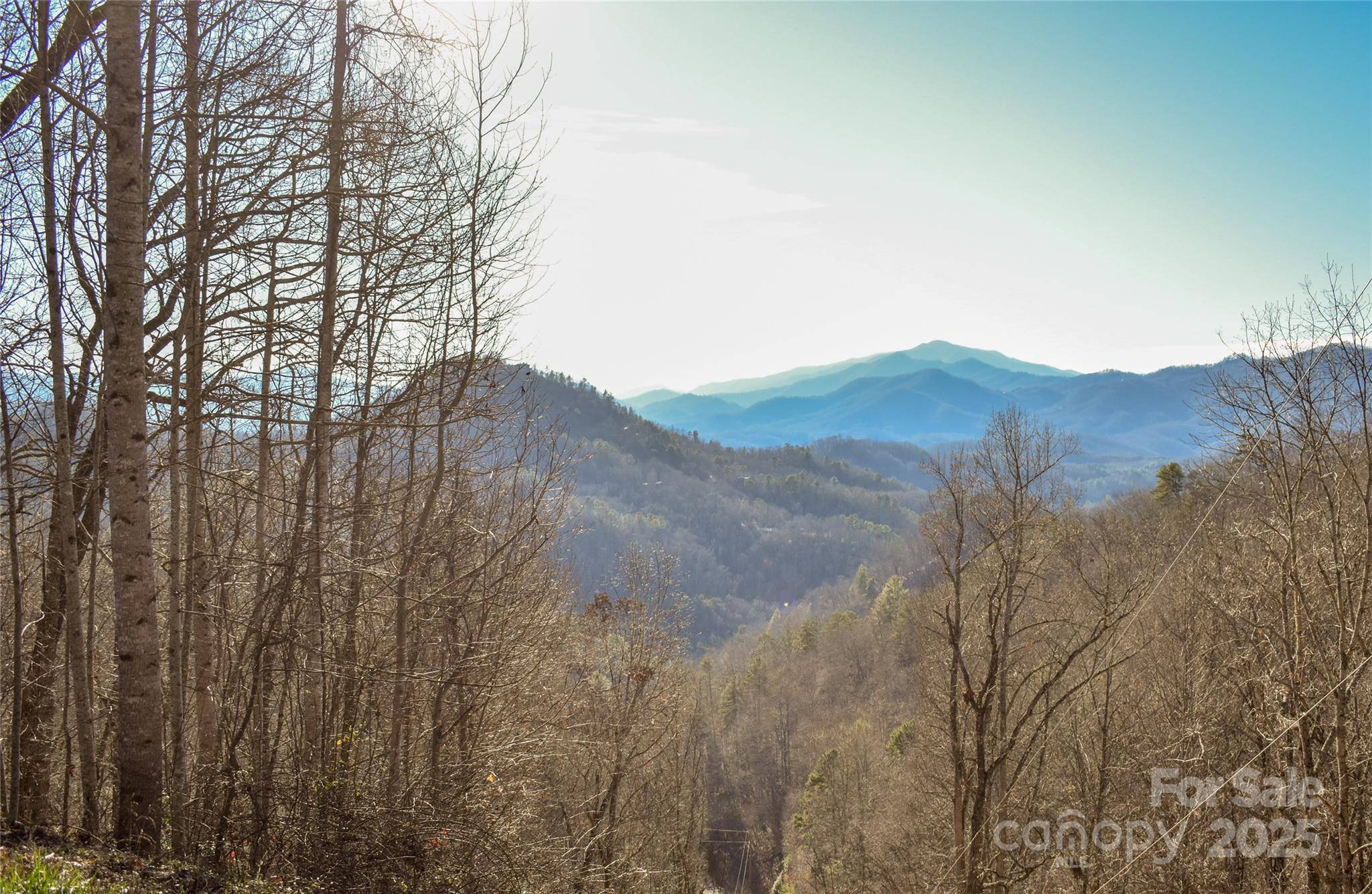 Bryson City, NC 28713,10 Ridge PL #10