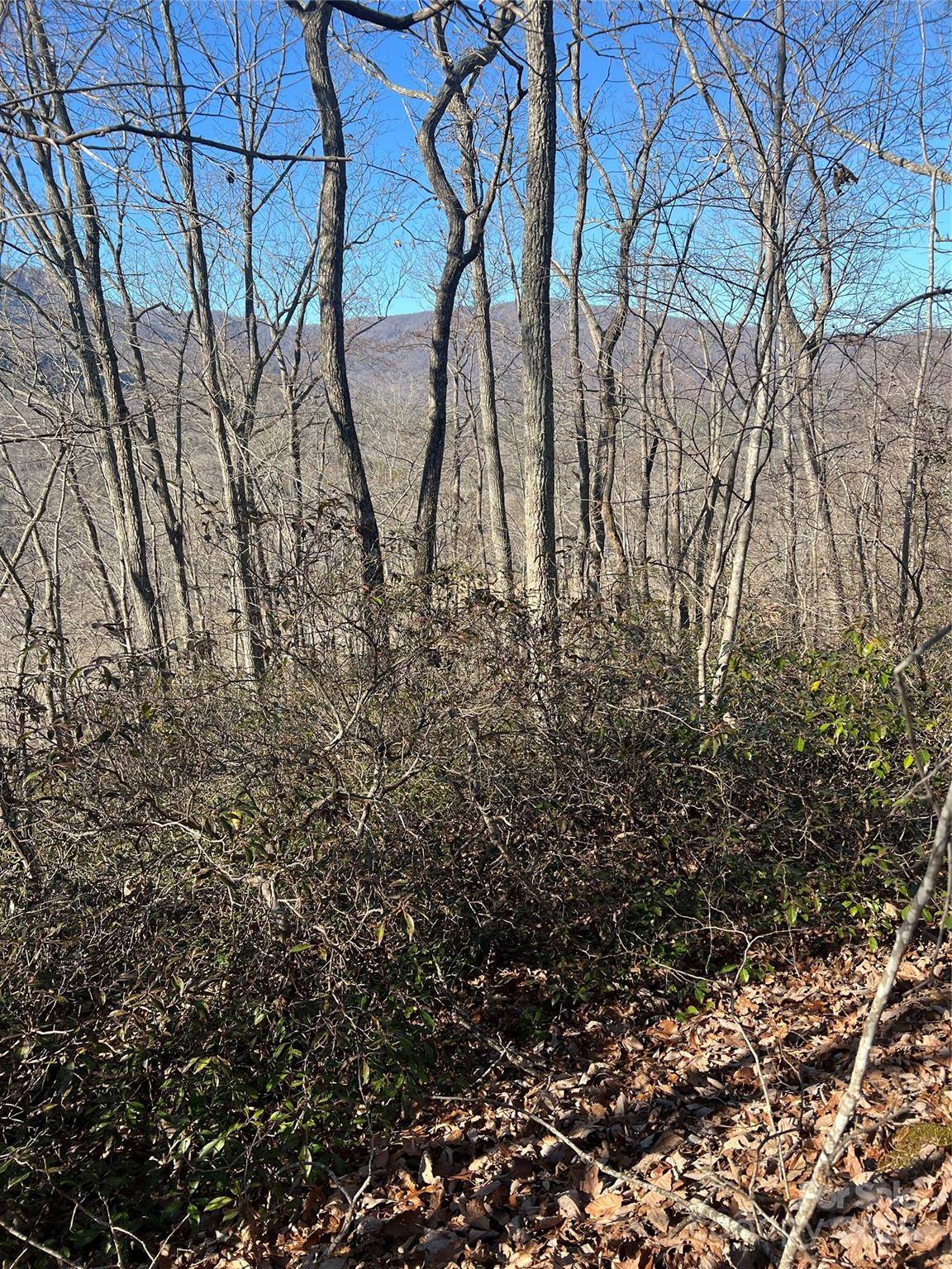 Lake Lure, NC 28746,Lot 42 Hawks Nest TRL