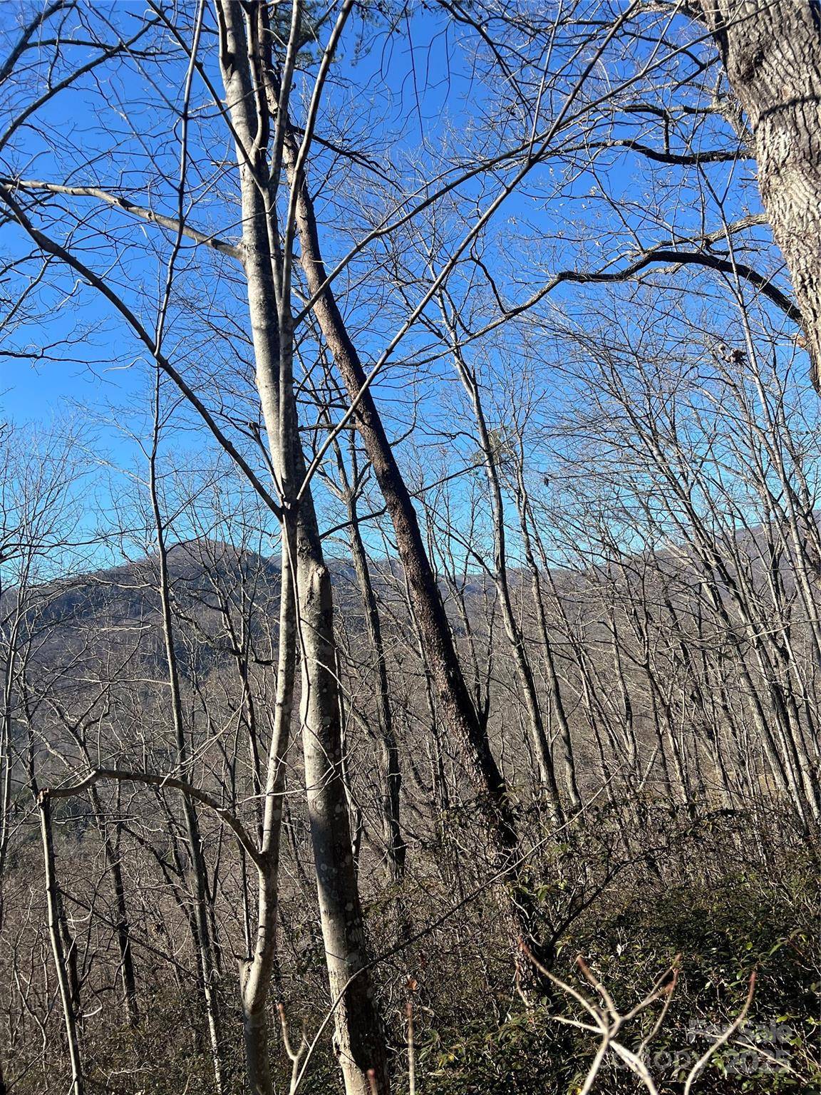 Lake Lure, NC 28746,Lot 42 Hawks Nest TRL