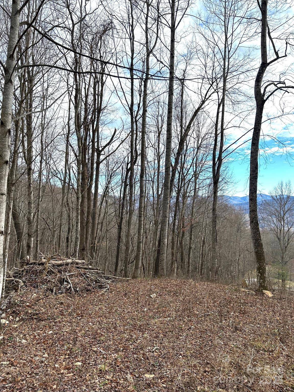 Waynesville, NC 28785,Lot #2 Sage LN