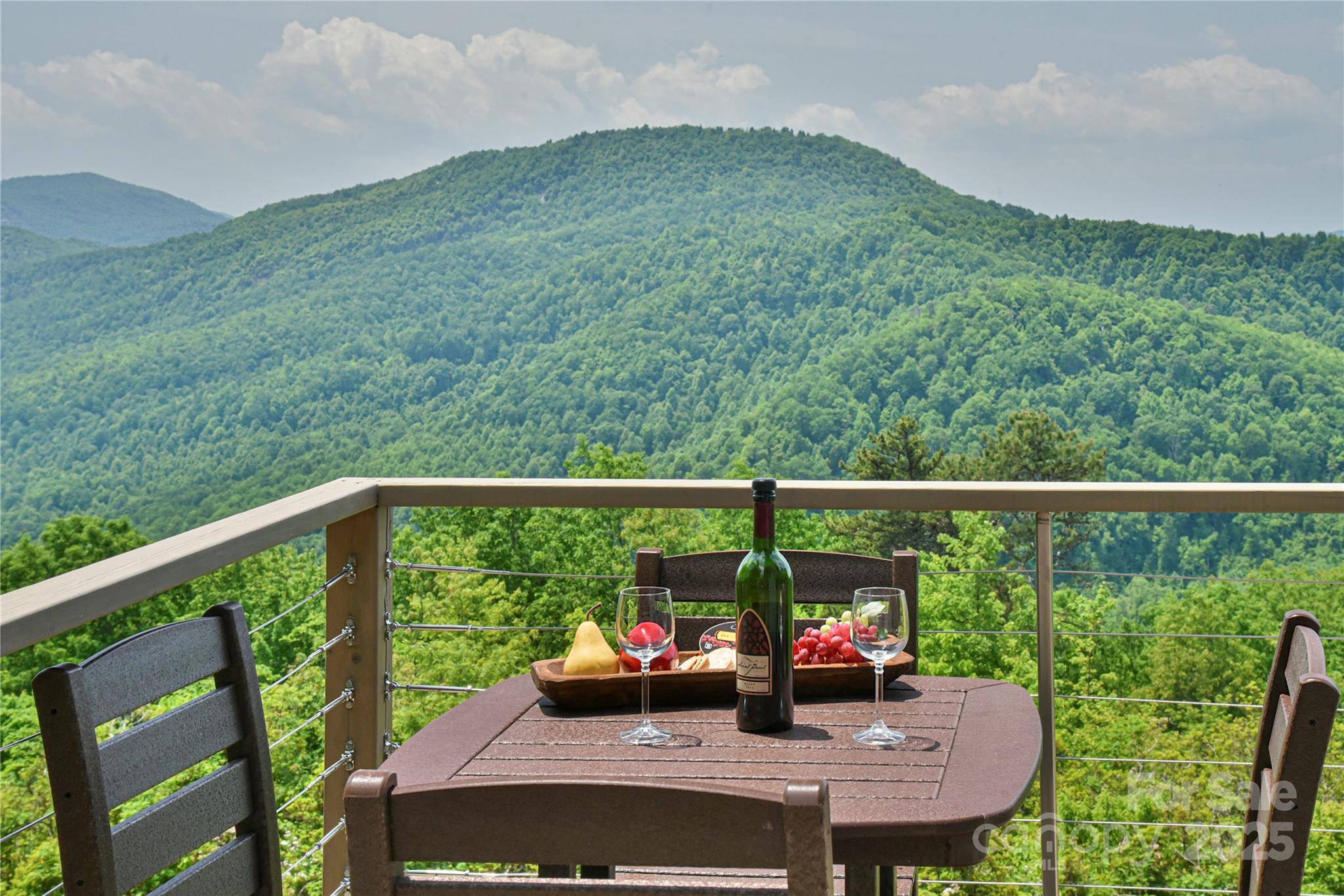 Black Mountain, NC 28711,41 High Cliffs TRL