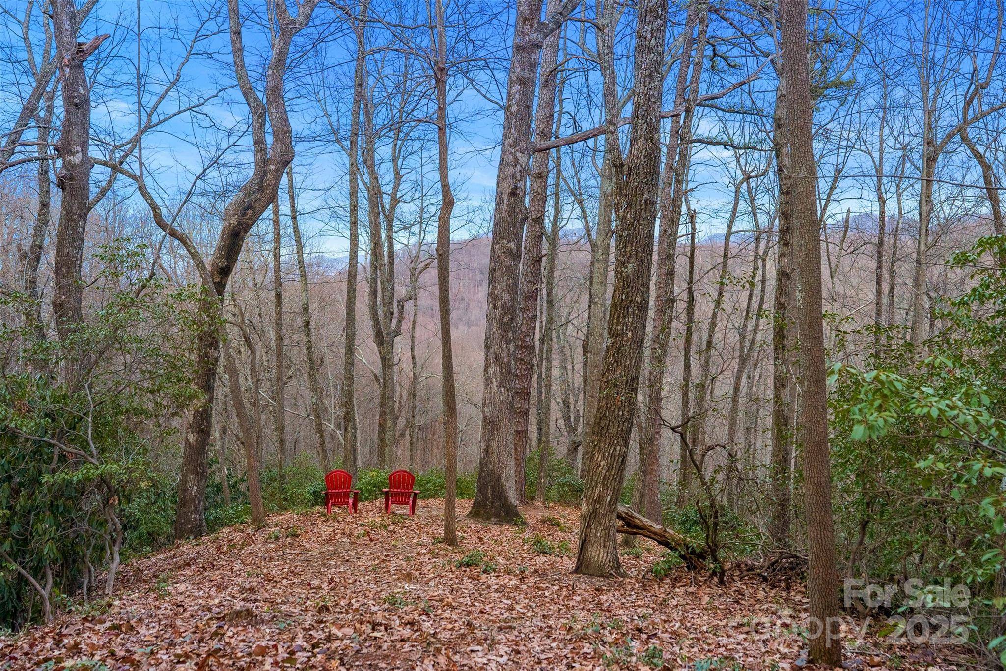 Black Mountain, NC 28711,Lot 4 Council Bluff TRL