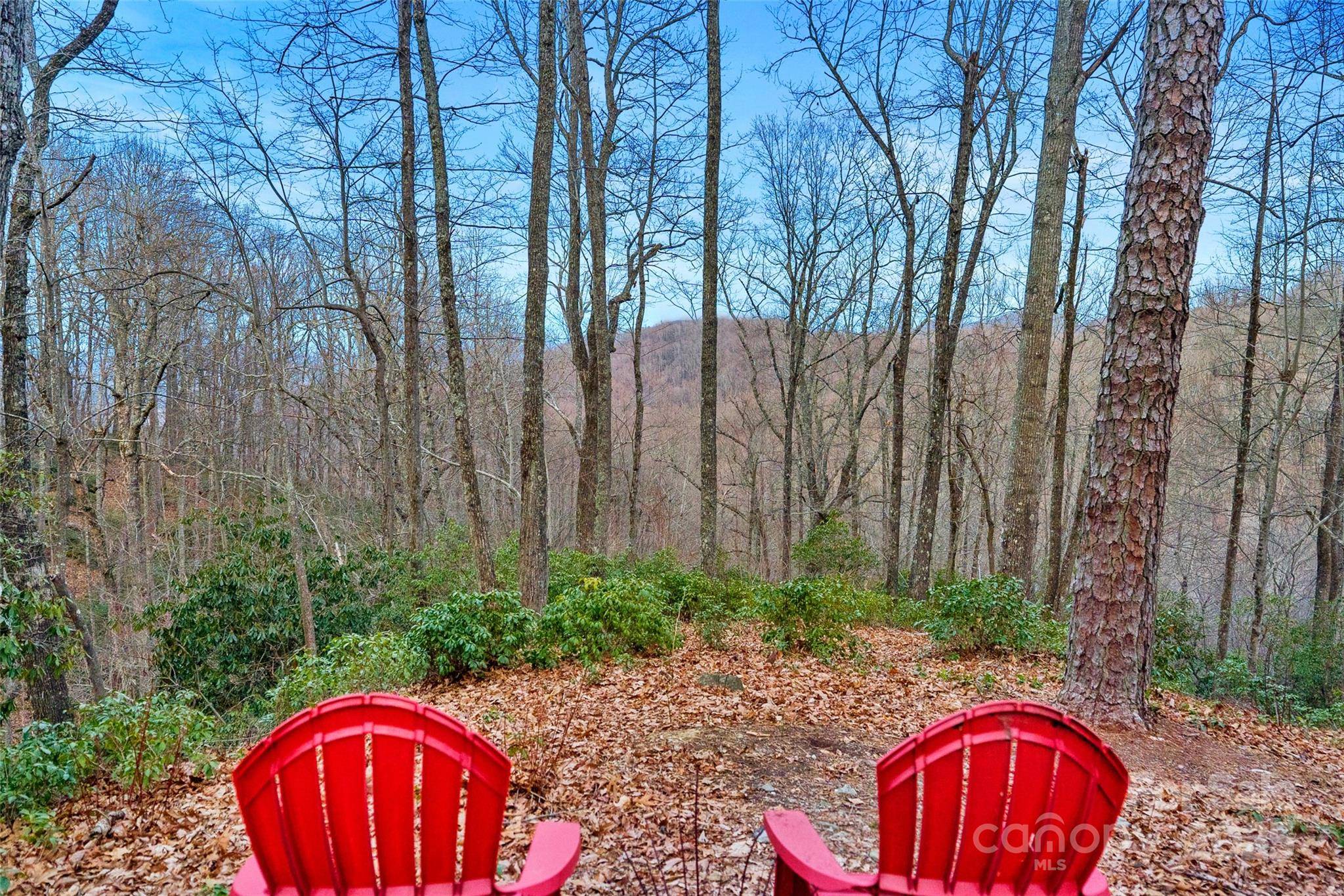 Black Mountain, NC 28711,Lot 4 Council Bluff TRL