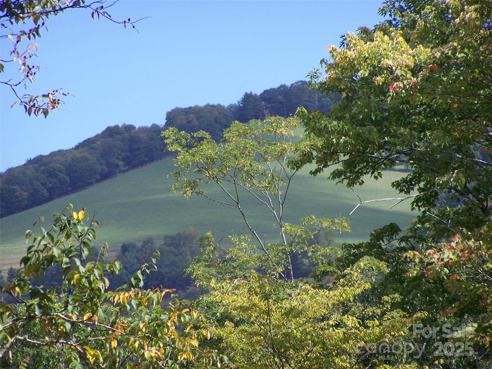 Maggie Valley, NC 28751,000 Fie Top RD