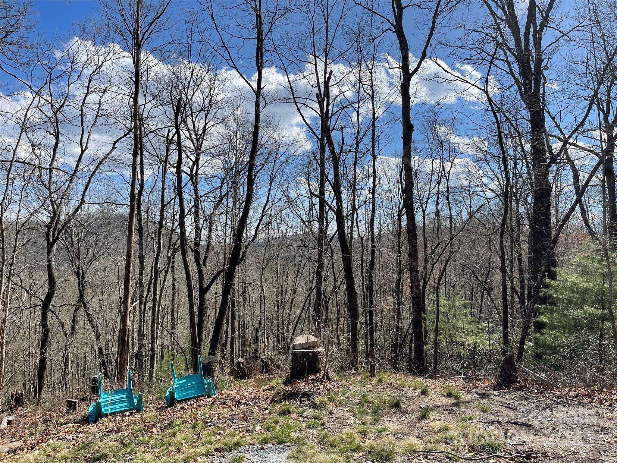 Brevard, NC 28712,Lot 66 Sandy LN