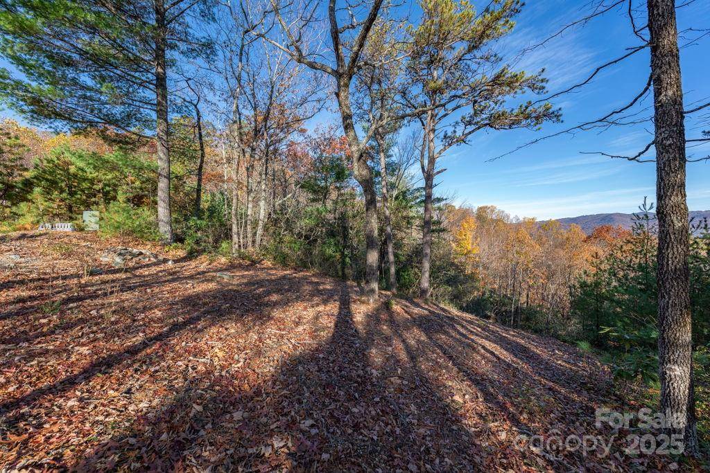 Boone, NC 28607,223 Red Cedar RD