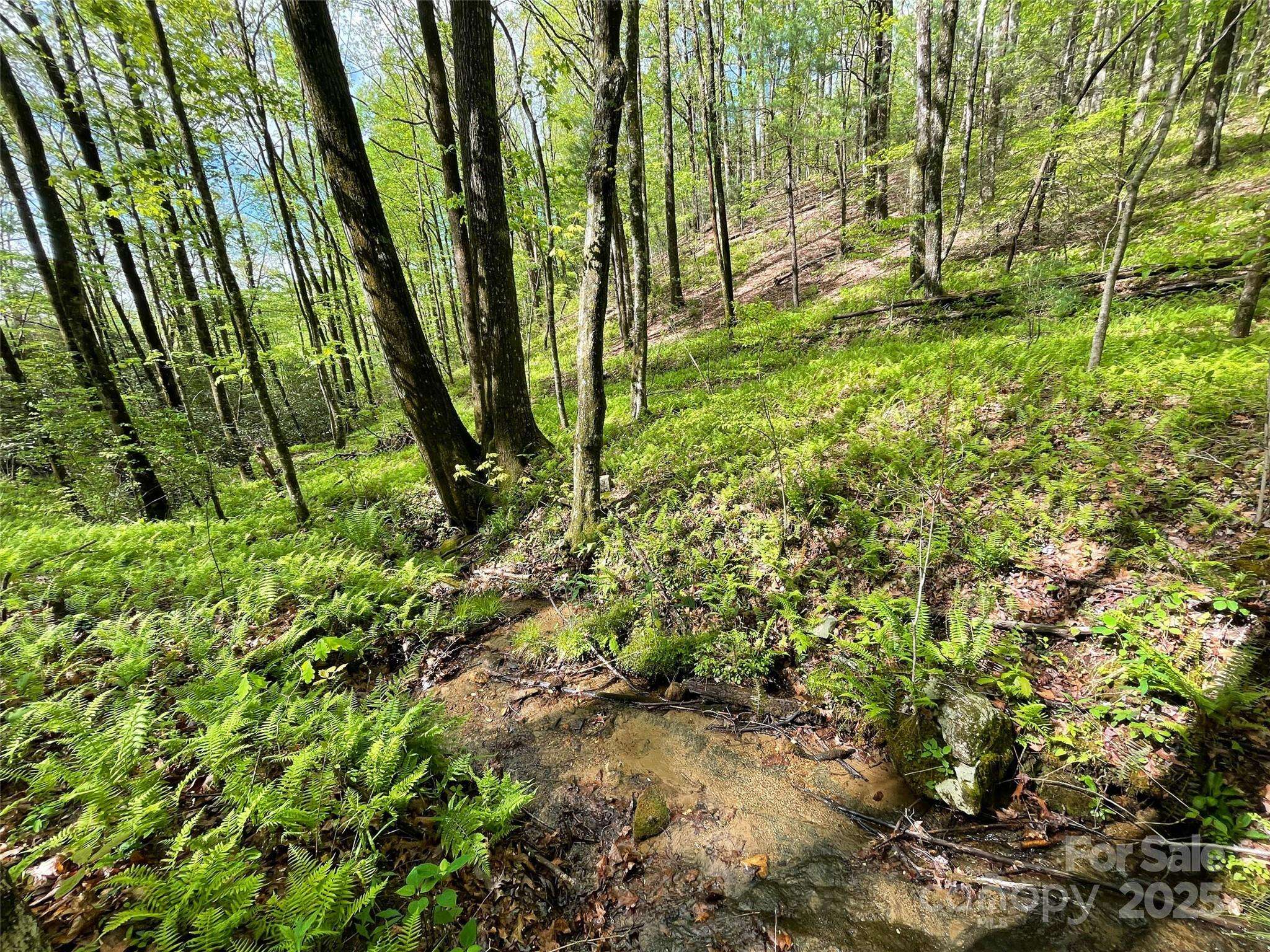 Brevard, NC 28712,OFF Pine Mountain DR