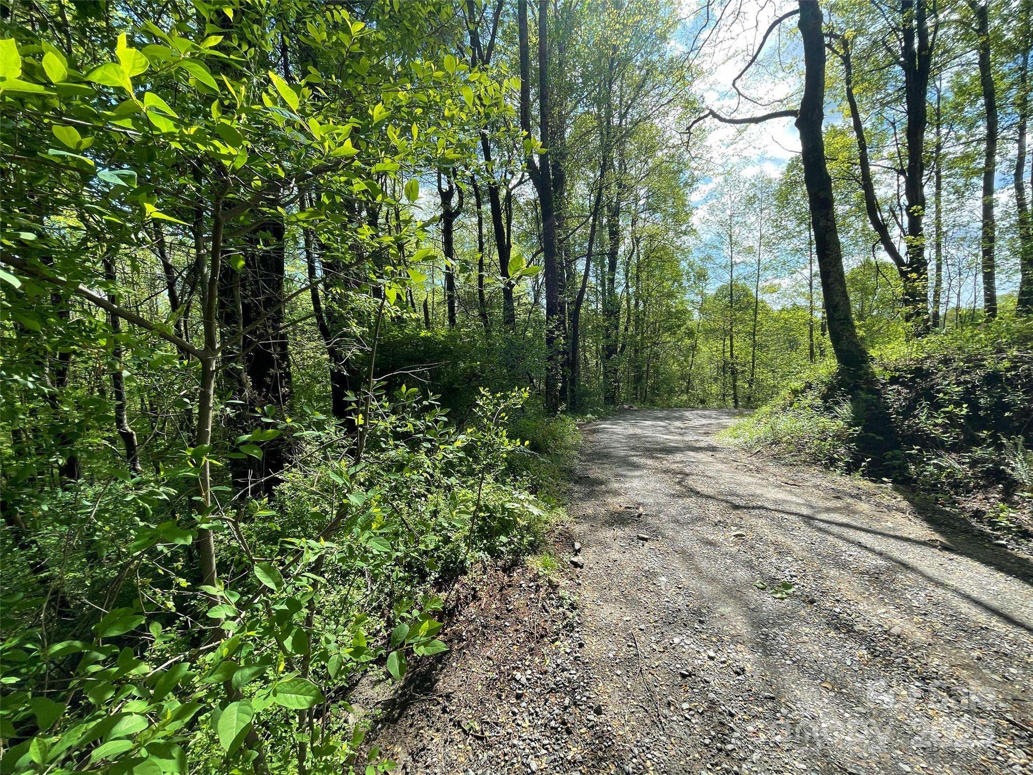 Brevard, NC 28712,OFF Pine Mountain DR