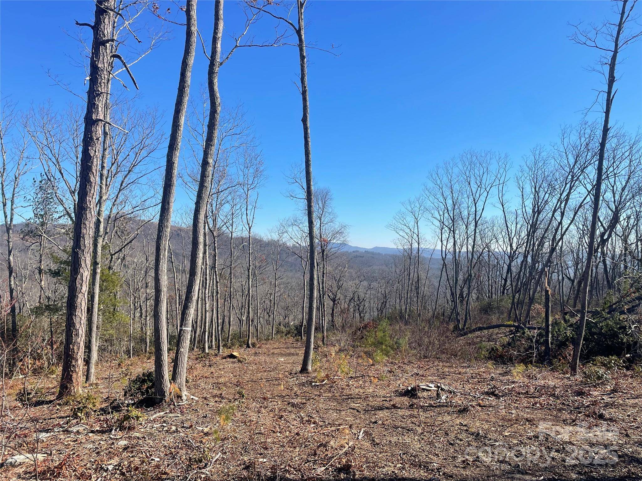 Fletcher, NC 28732,0000 Mountain Grove LN #59