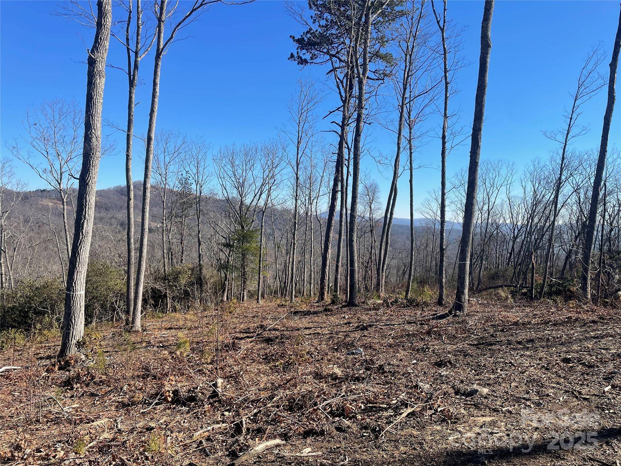 Fletcher, NC 28732,0000 Mountain Grove LN #59