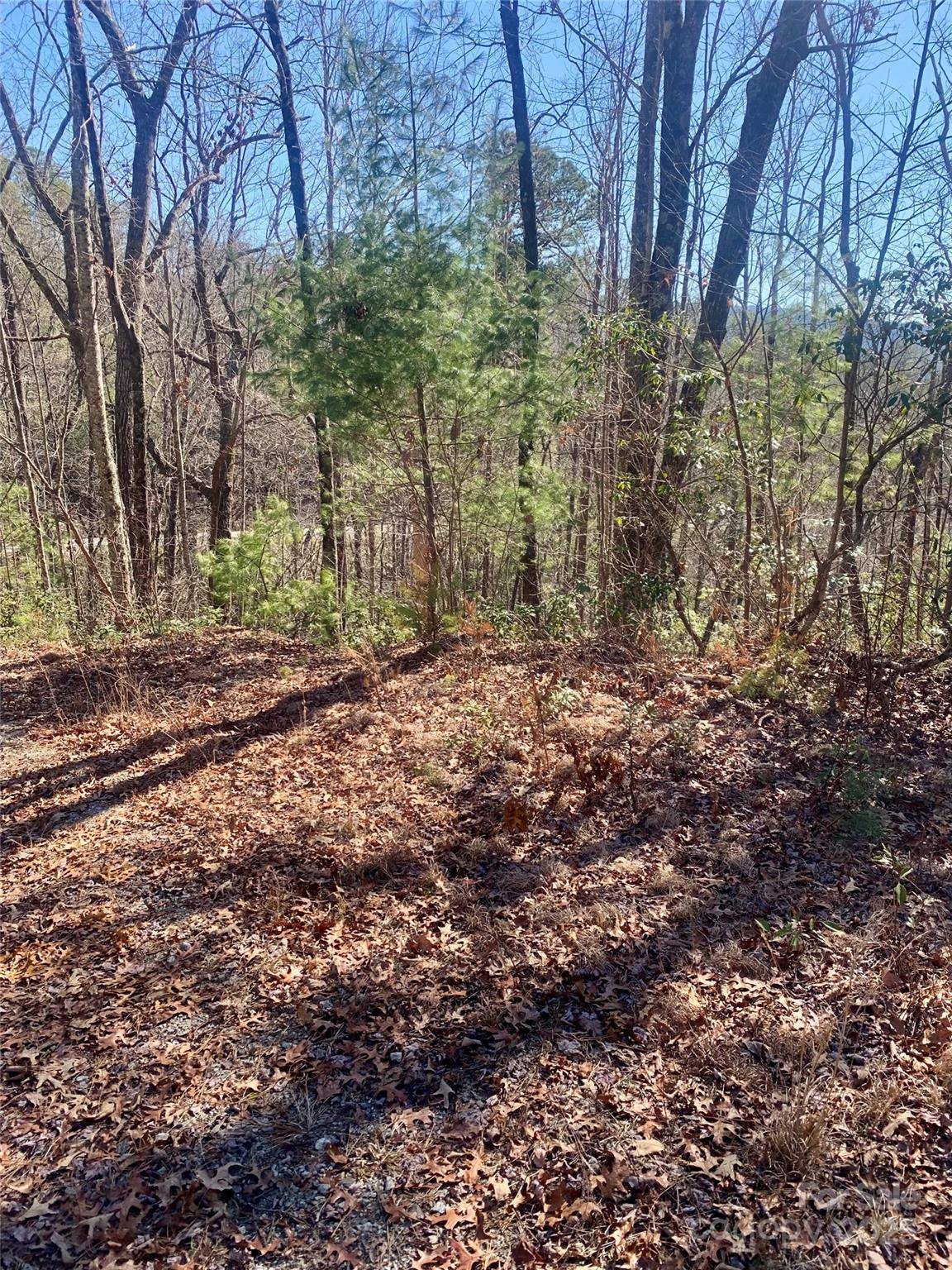 Brevard, NC 28712,Lots 62&63 Oak Laurel RD #62,63