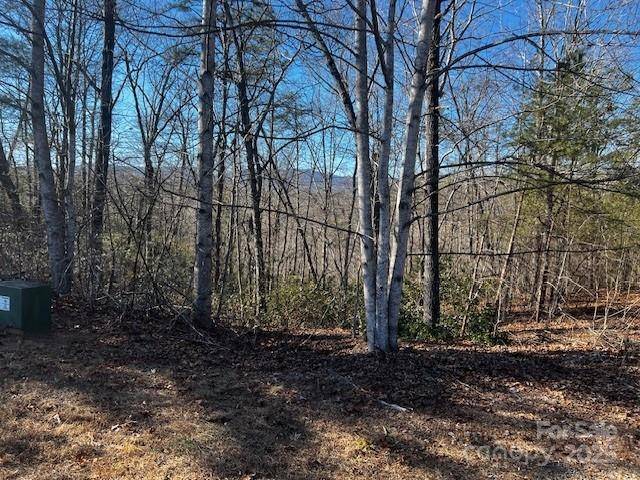 Mill Spring, NC 28756,Lot 37 N Mountain LN