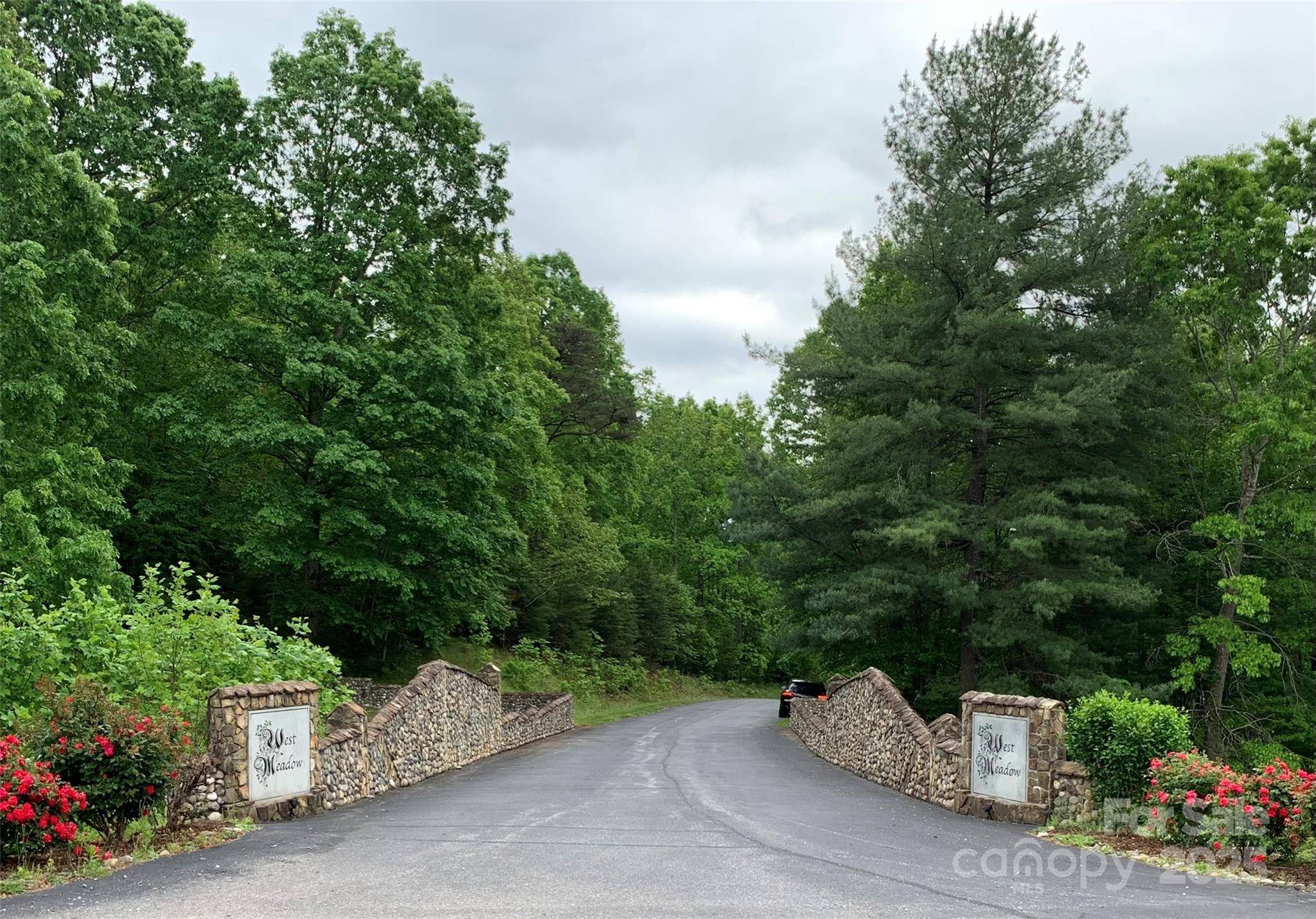 Moravian Falls, NC 28654,Lot 11 Cabin Cove LN