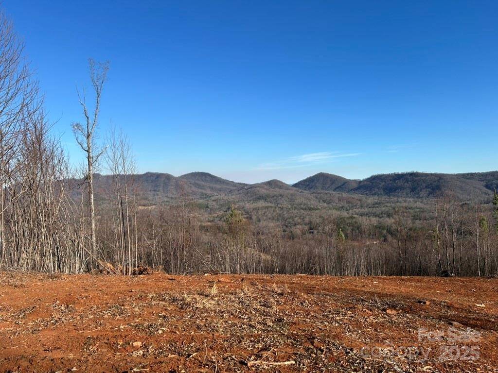 Union Mills, NC 28167,0 Cove RD