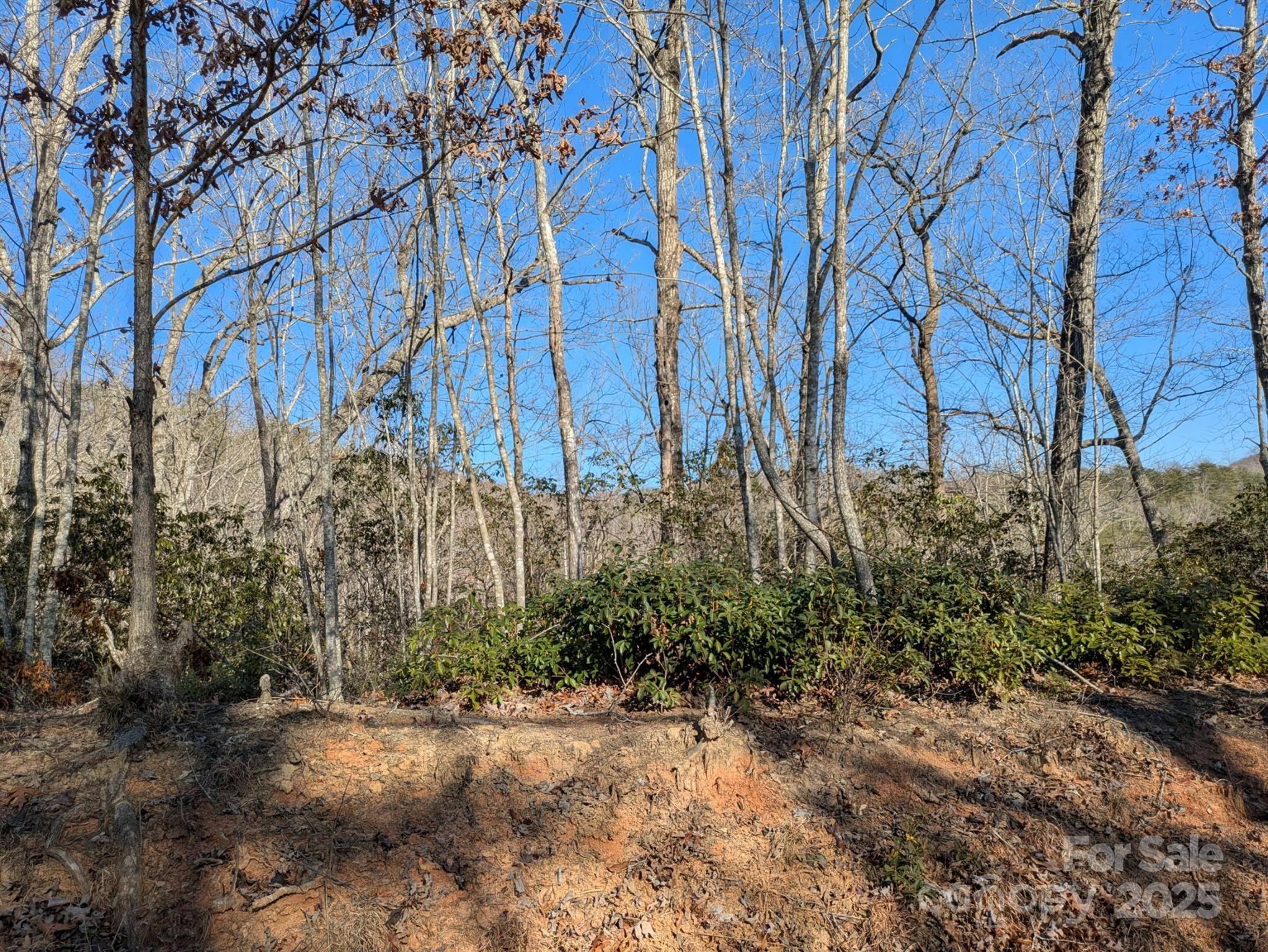 Lake Lure, NC 28746,0 SE Old Crows DR #L389, L390