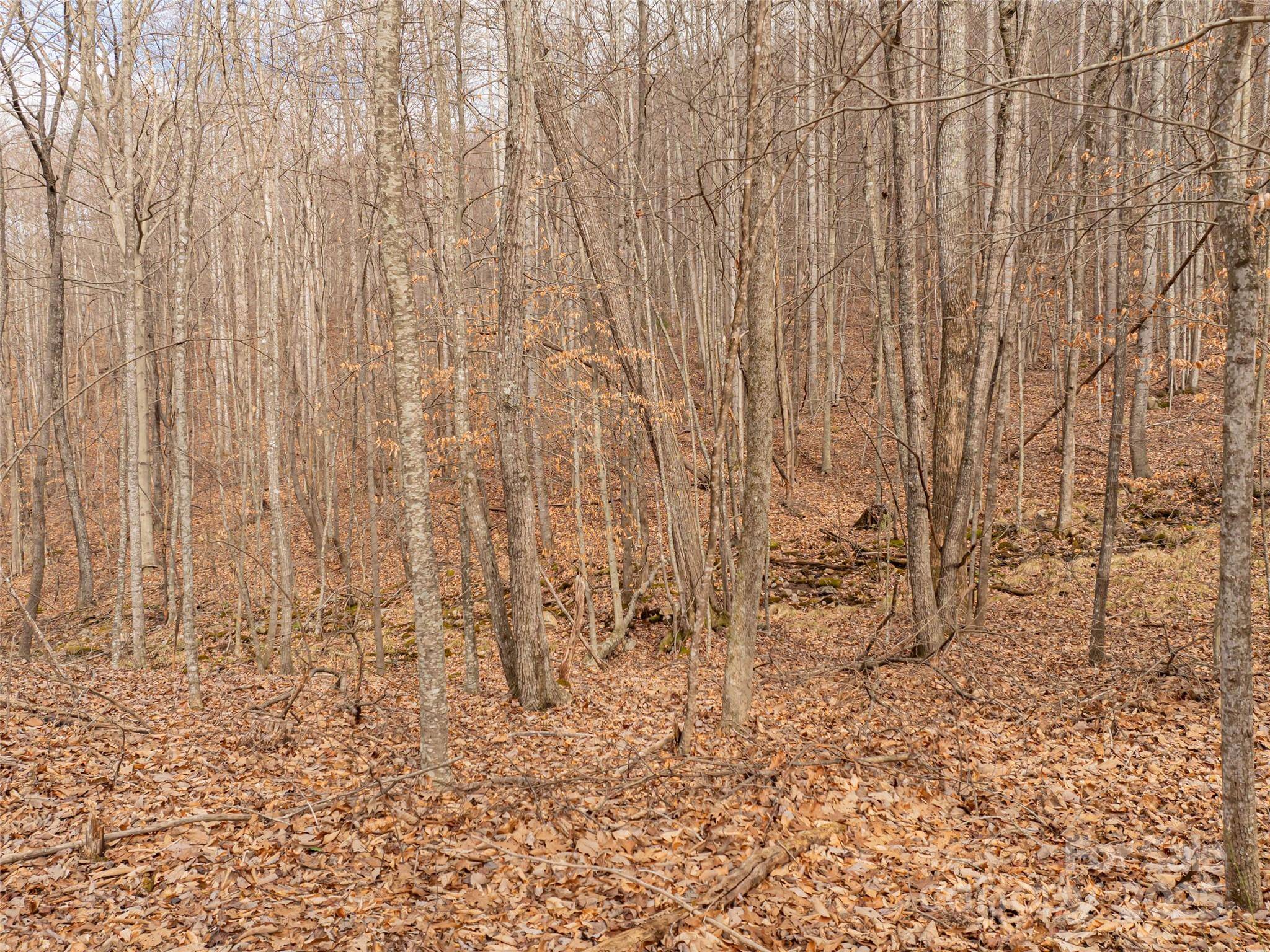 Arden, NC 28704,546 Blue Mist WAY
